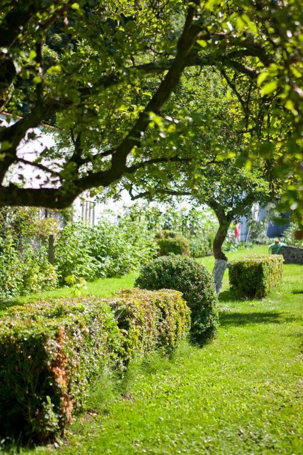 Lozerkasteel Hotel Kruishoutem Eksteriør billede
